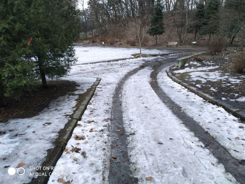 Петро Дем&rsquo;янчук